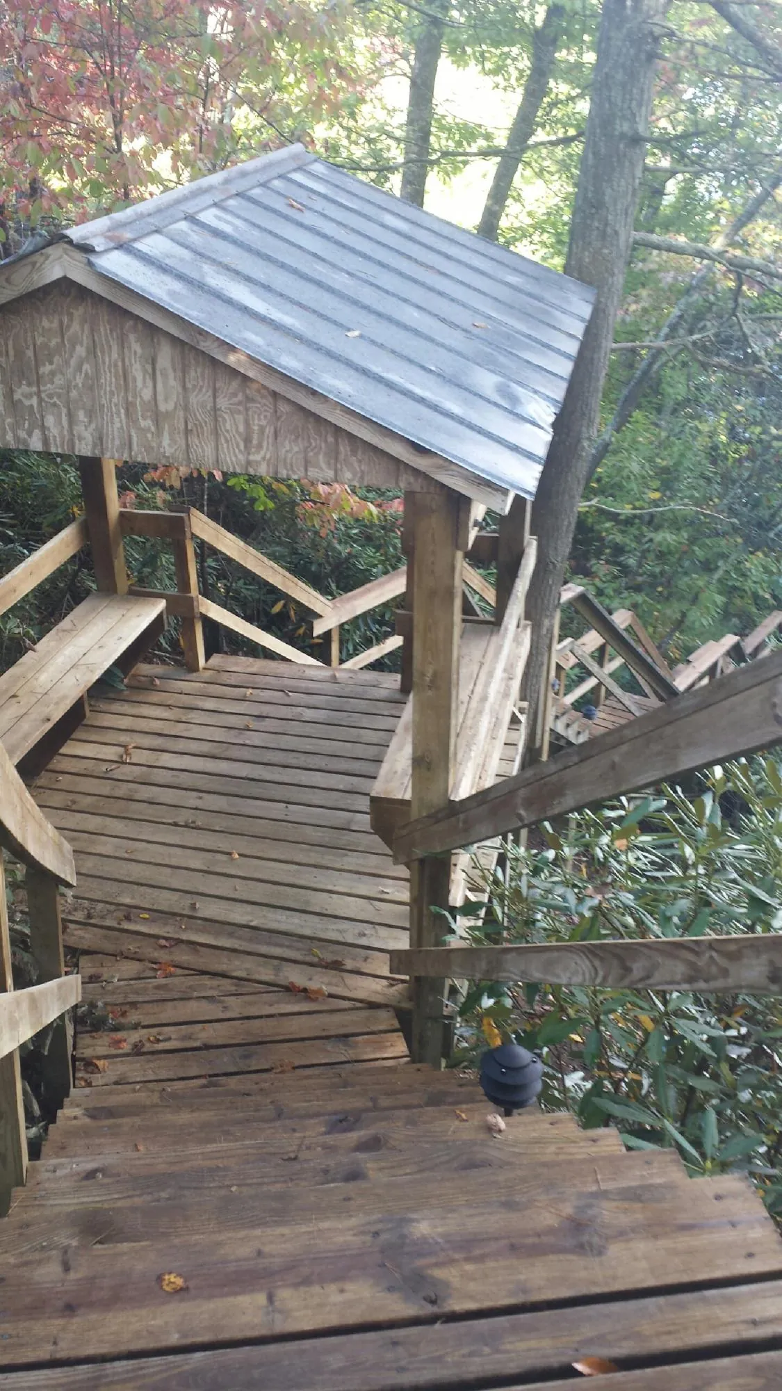 Metal roofed shelter over wooden steps on a wooded walkway — Skylight Repair & Installation work by our crew in Bejou
